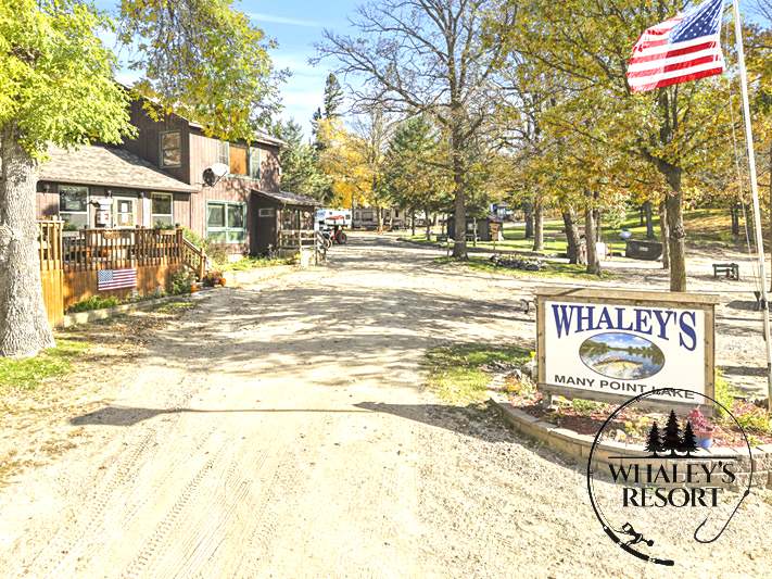 Photo of Whaley's Resort in Northern Minnesota.